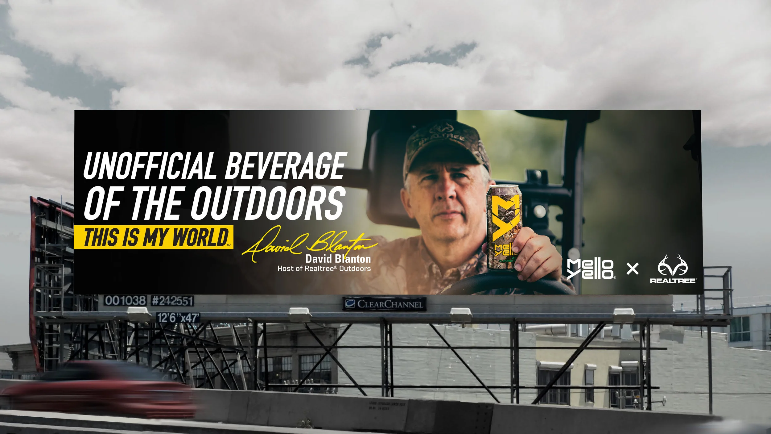MyRealtreeBillboards_062216_DB.jpg