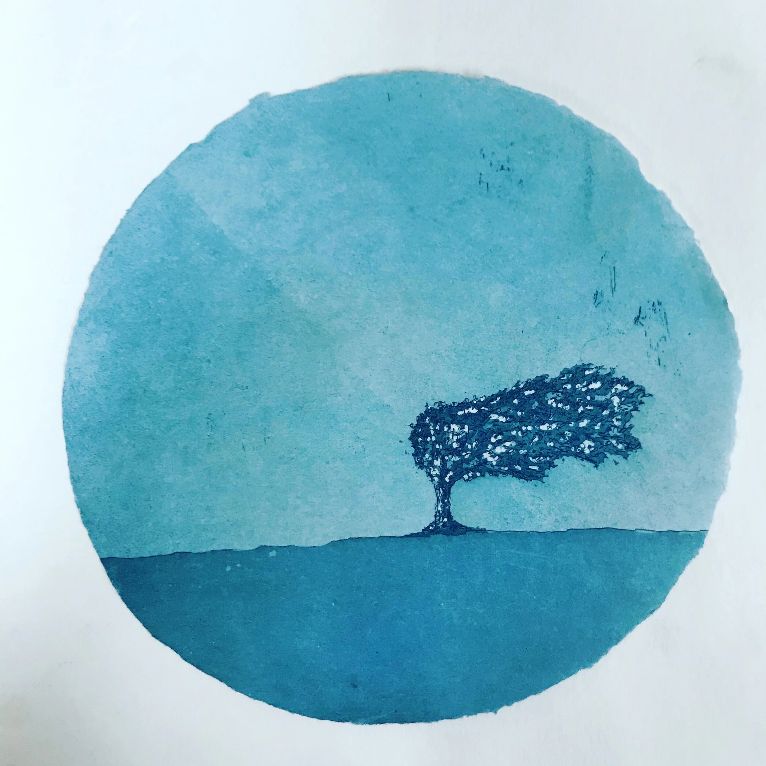 The Last Tree Edition of 10 etching and aquatint (2019)