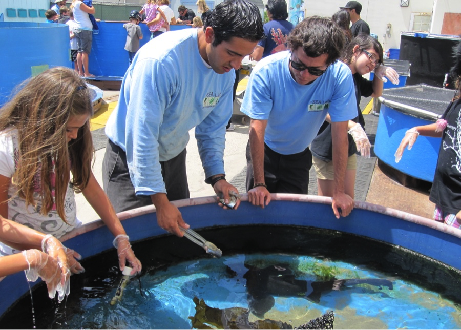 Photo courtesy of The SEA Lab