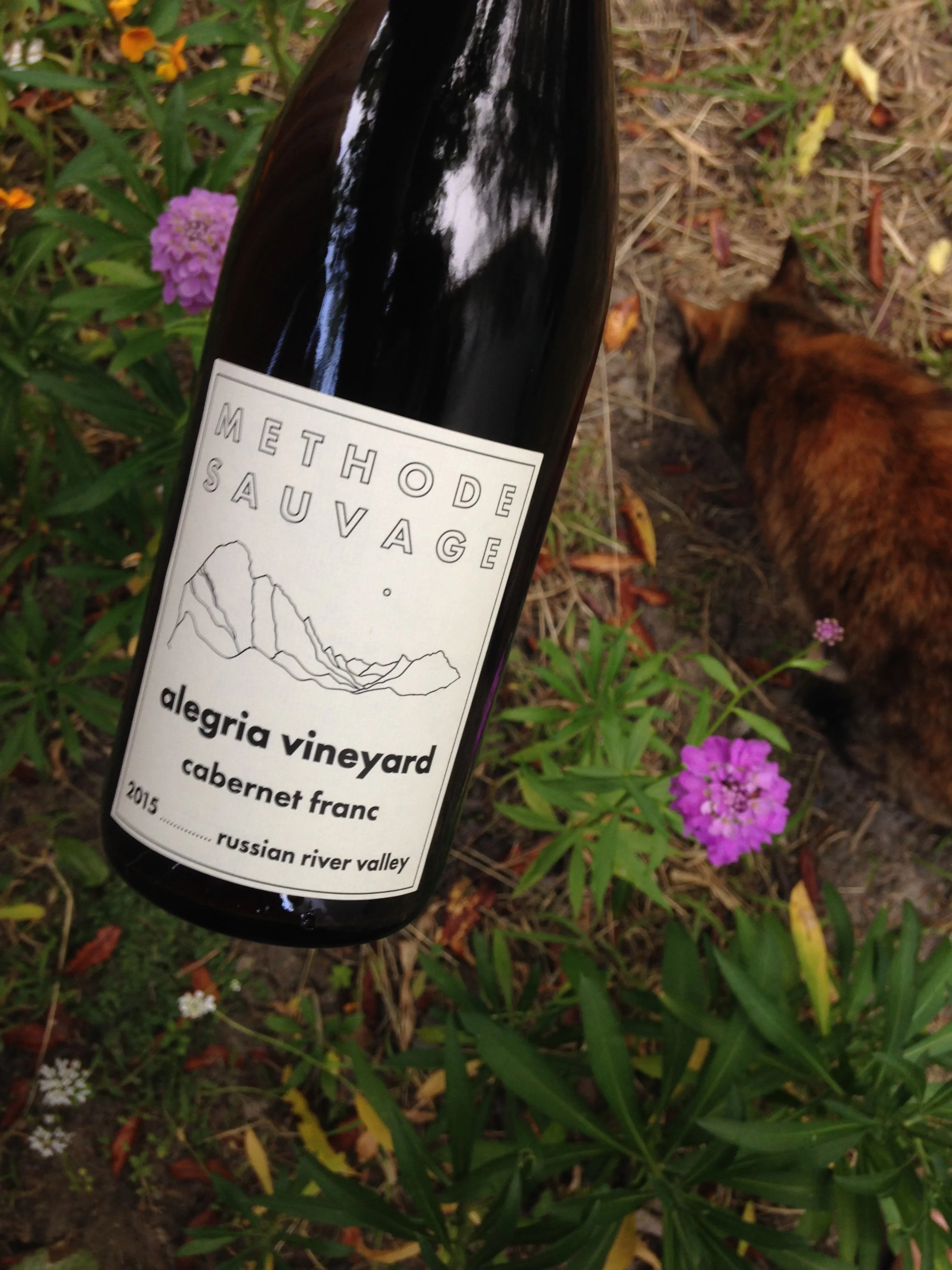 2016 Methode Sauvage Alegria Vineyard Cabernet Franc