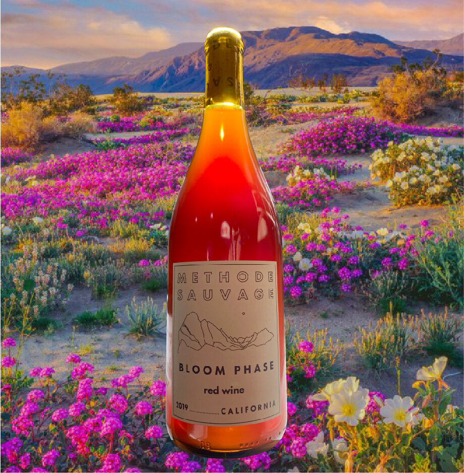 2024 iruai 'Bloom Phase' Red