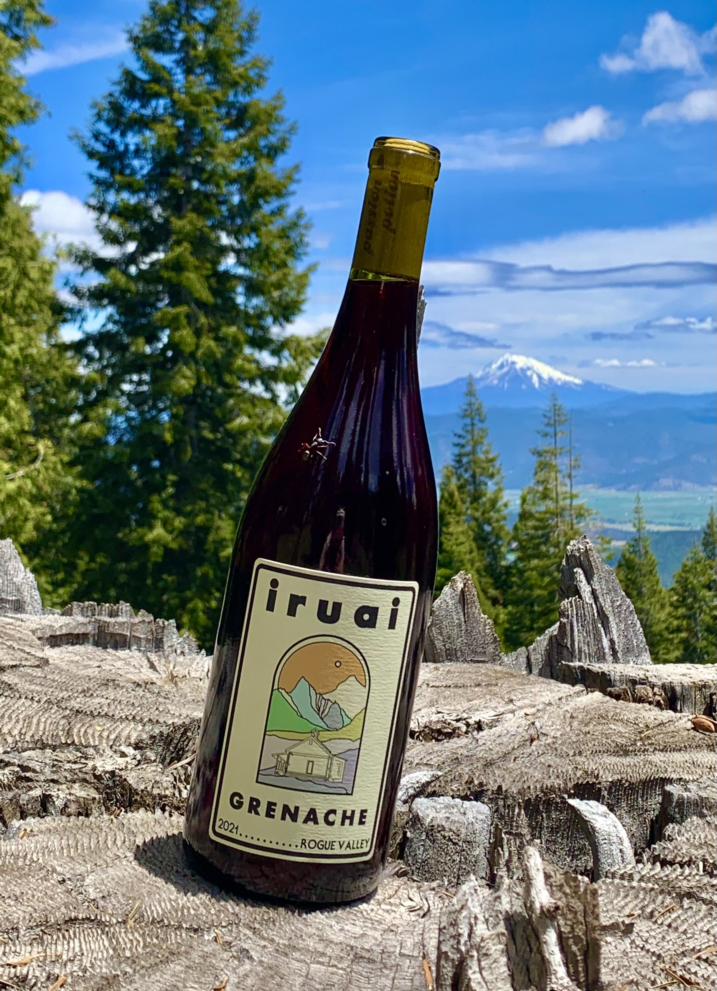 2021 Rogue Valley Grenache - $35 (SOLD OUT)