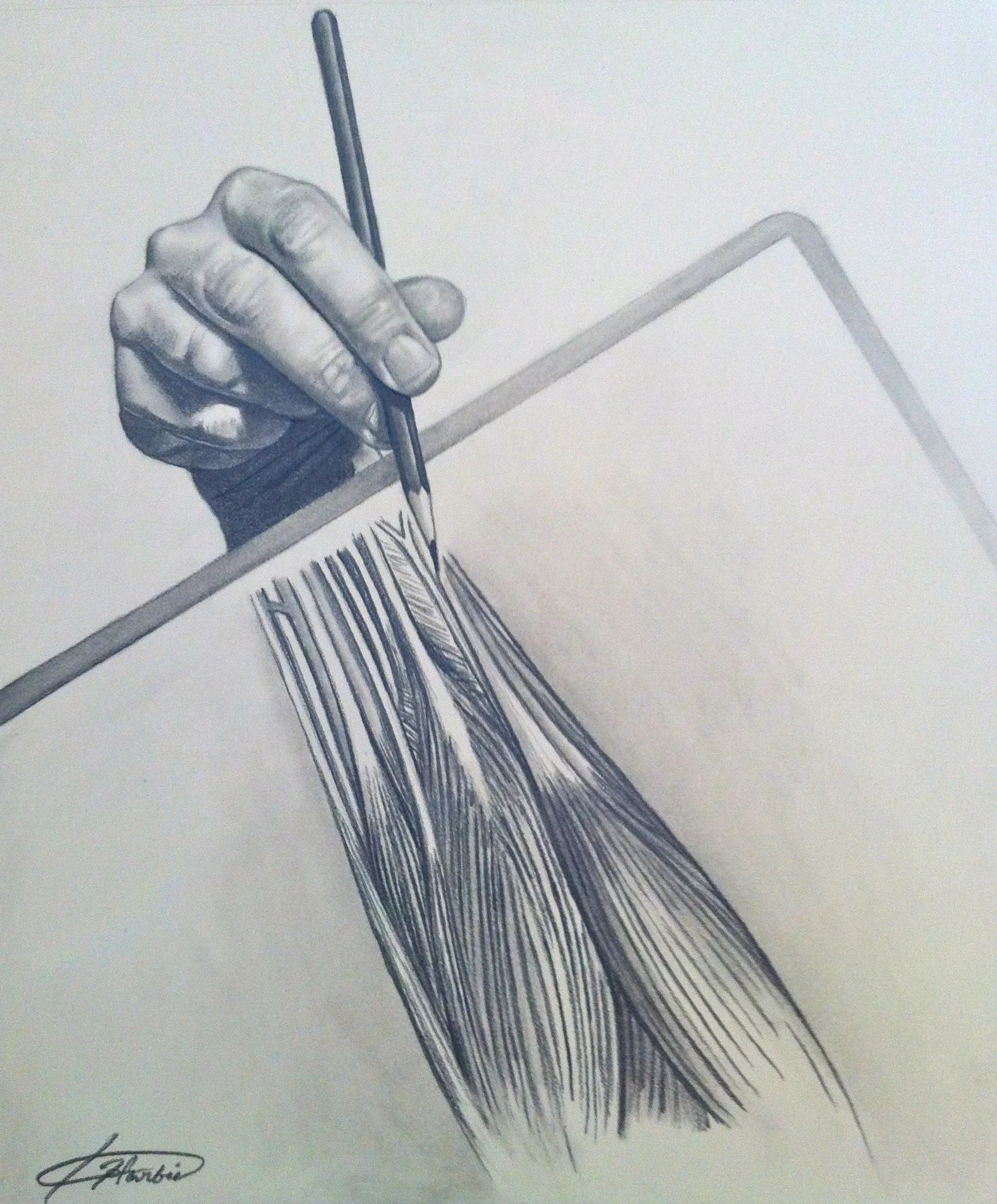 THE ART OF ANATOMY