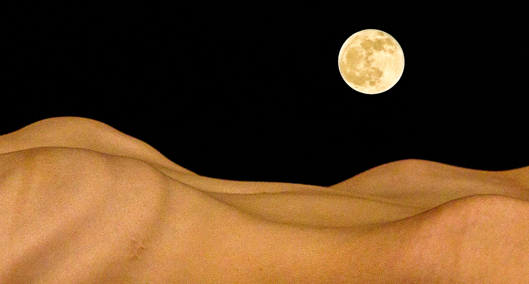 Anatomical_Landscapes_I_-_Desert_Moon.jpg