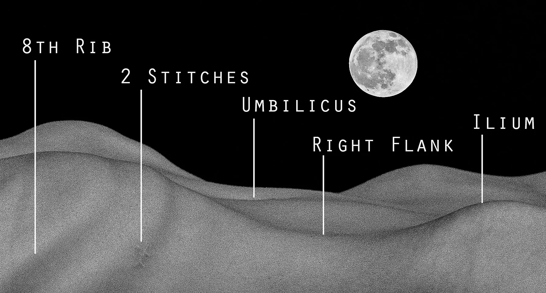 Anatomical Landscapes I & II by Ivana Viani. Fall 2017 Intima