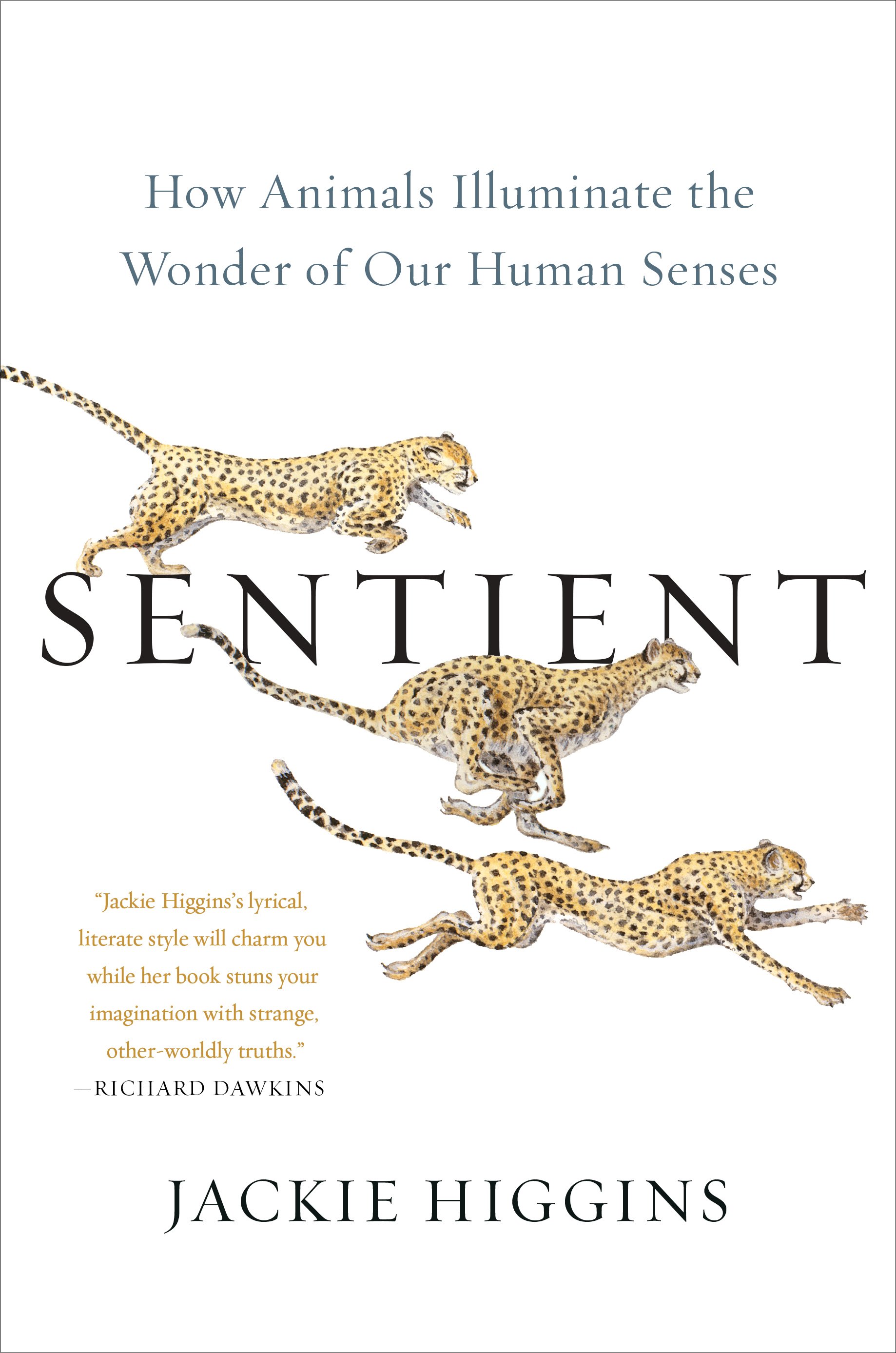 BOOK REVIEW Sentient: How Animals Illuminate the Wonder of Our Human Senses  — Intima