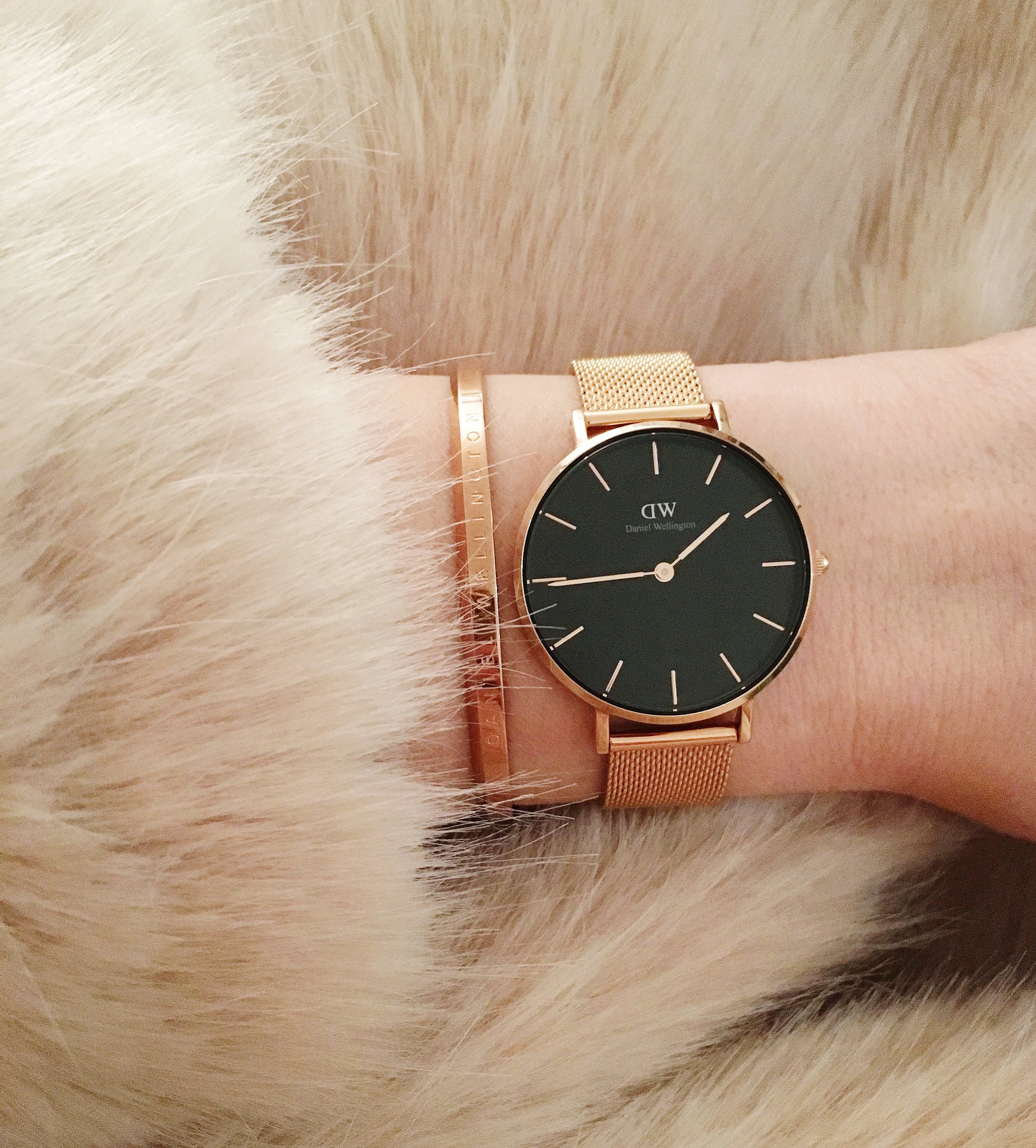 WMW x Daniel Wellington Christmas Woman World