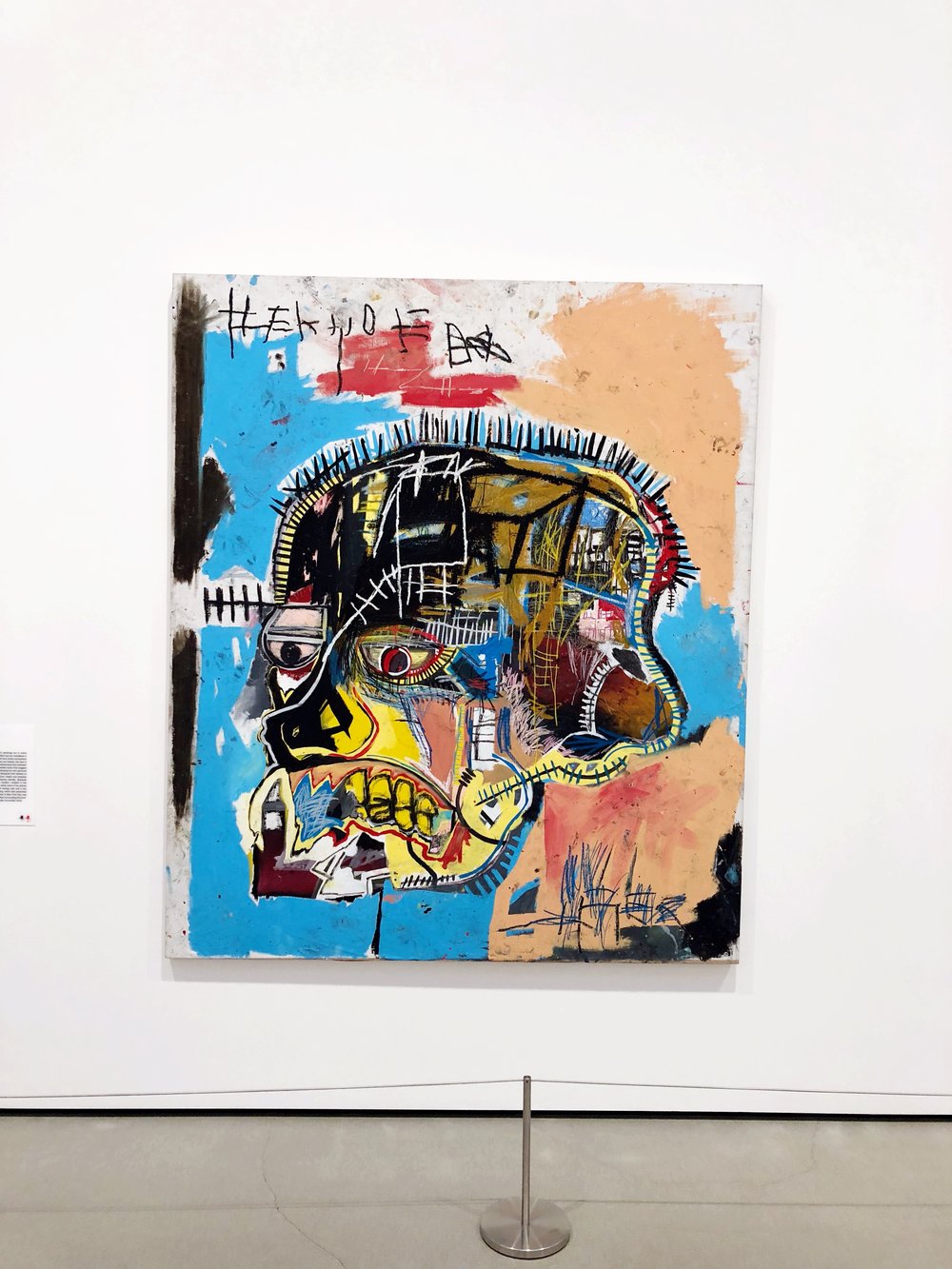 The Broad Basquiat
