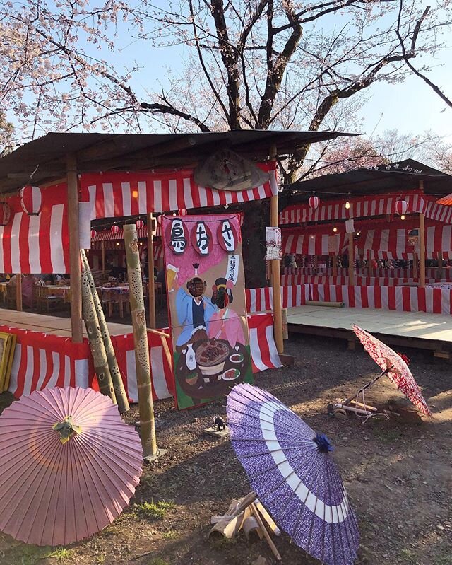 The most beautiful spring fair and market in Kyoto last year
.
.
.
.
.
.
.
.
.
#wmwtravels #kyoto #japan #spring #sakura #cherryblossoms #travel #wanderlust #tlpicks #huffpostgram #iamatraveler #travelersnotebook #neverstopexploring #visitjapan #visi