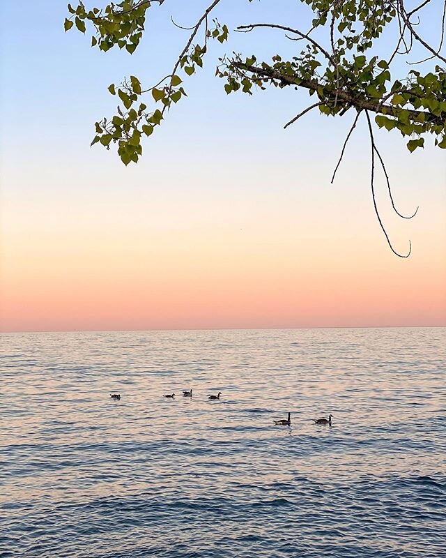 Summer nights in my hometown, Oakville. This little piece of serenity is just 30 mins from Toronto!
.
.
.
.
.
.
.
.
.
.
.
.
#wmw #oakville #ontario #lakeontario #harbour #canada #discovercanada #sunset #travel #wanderlust #bbctravel #nytimestravel #t