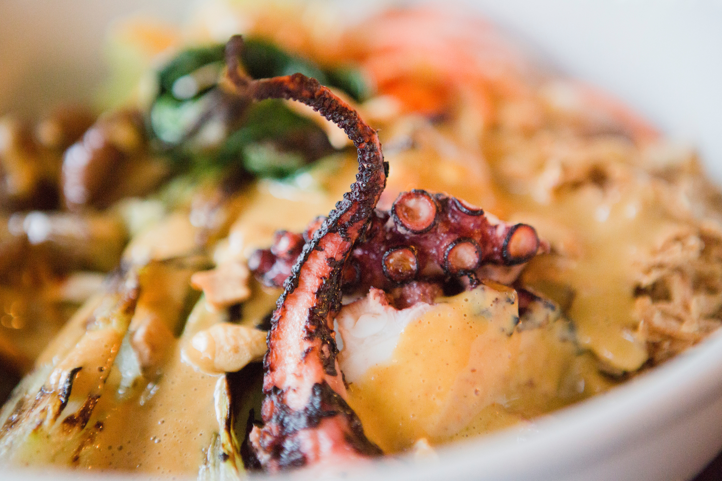 Panang w/Grilled Octopus
