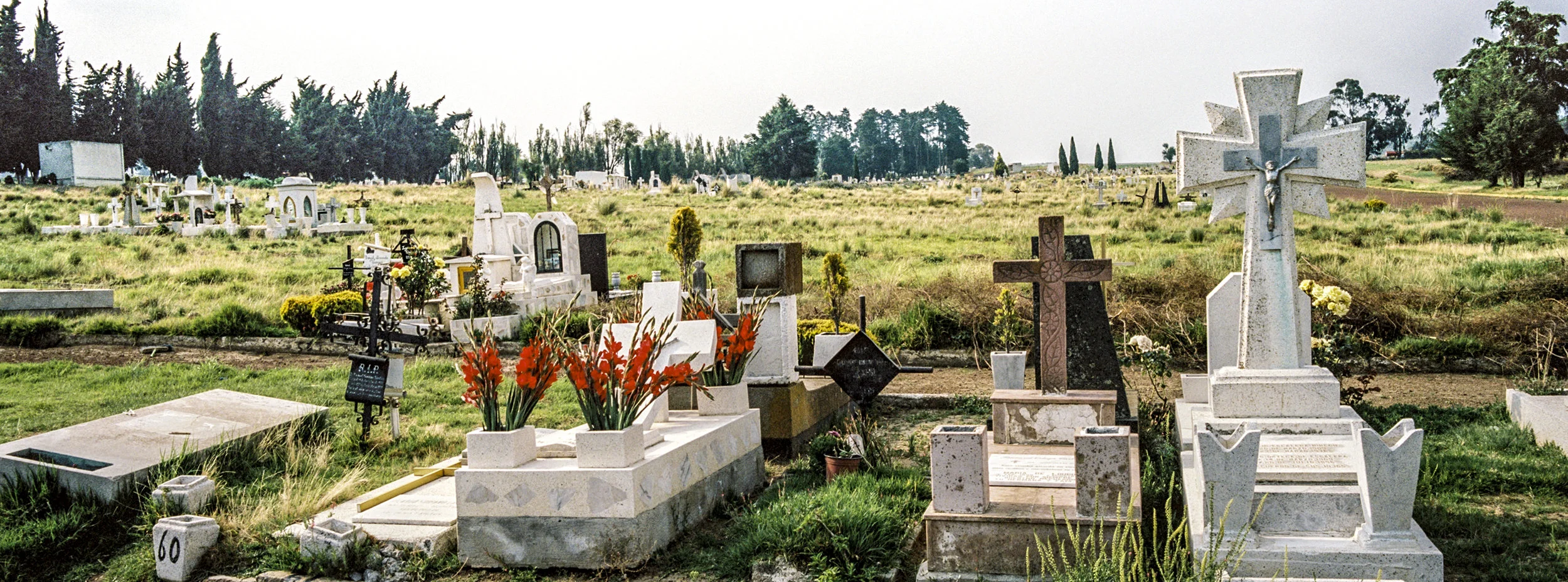 YV73c02-R01-010.jpg