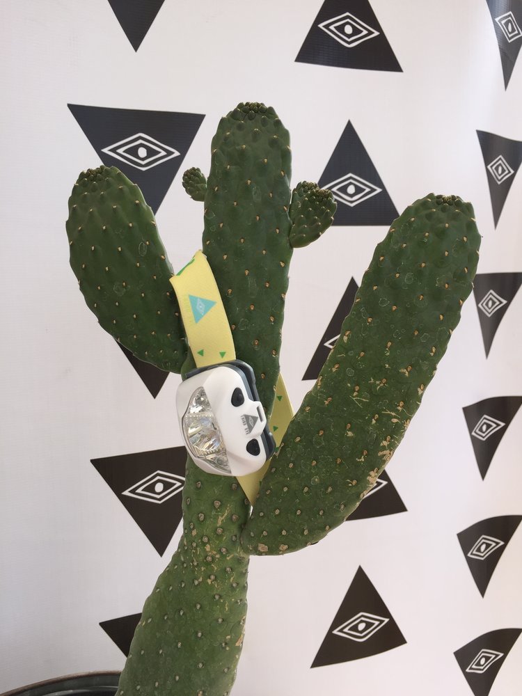 Third Eye Headlamps™ TE14 Headlamp - Cactus — THIRD EYE Third Eye Headlamps™ TE14 Headlamp - Cactus — THIRD EYE