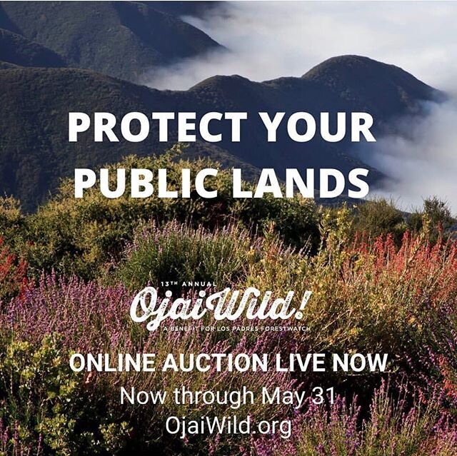 So stoked to be able to support such an amazing organization @lpforestwatch as part of our @1percentftp commitment. Their annual Ojai Wild Virtual Auction is up and running and only a couple days left&mdash;Place your bids now to support the protecti