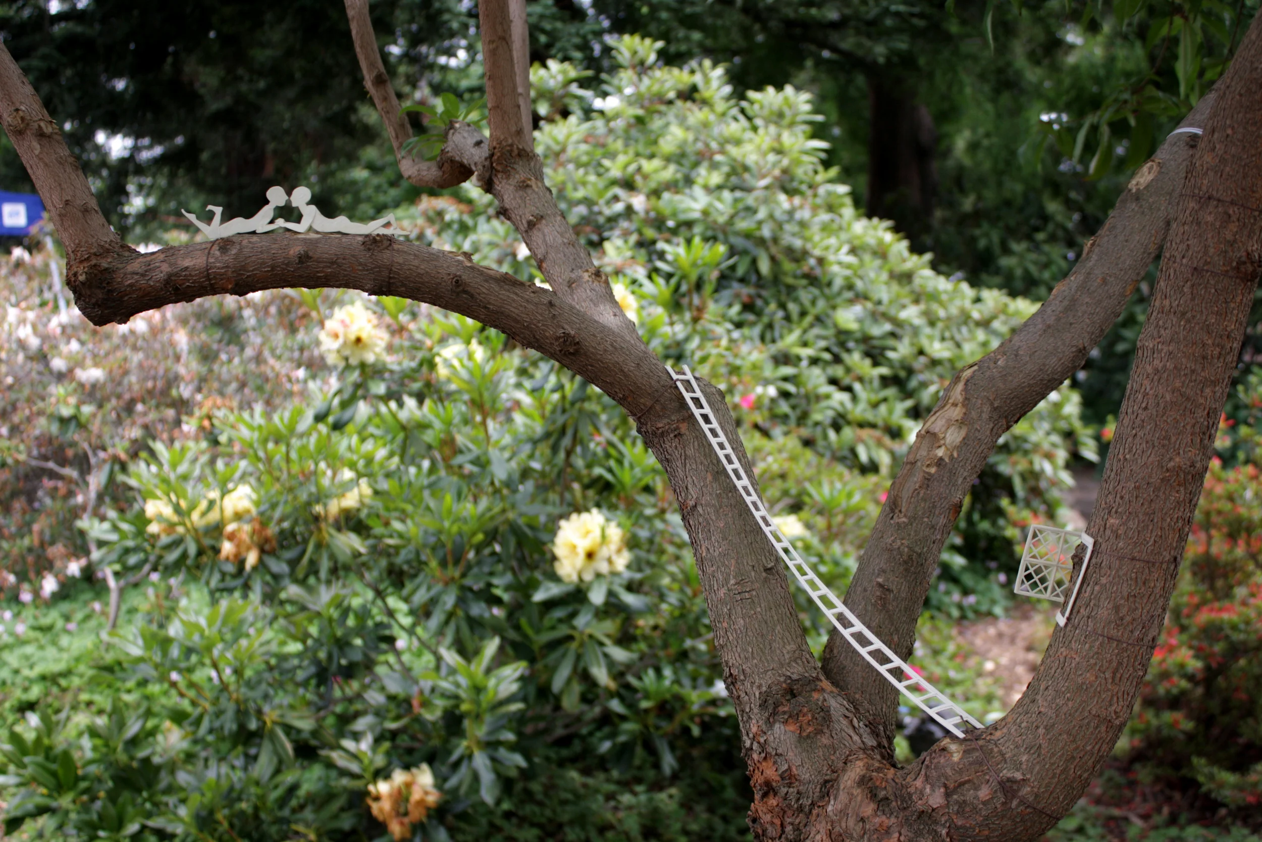 In the Trees
