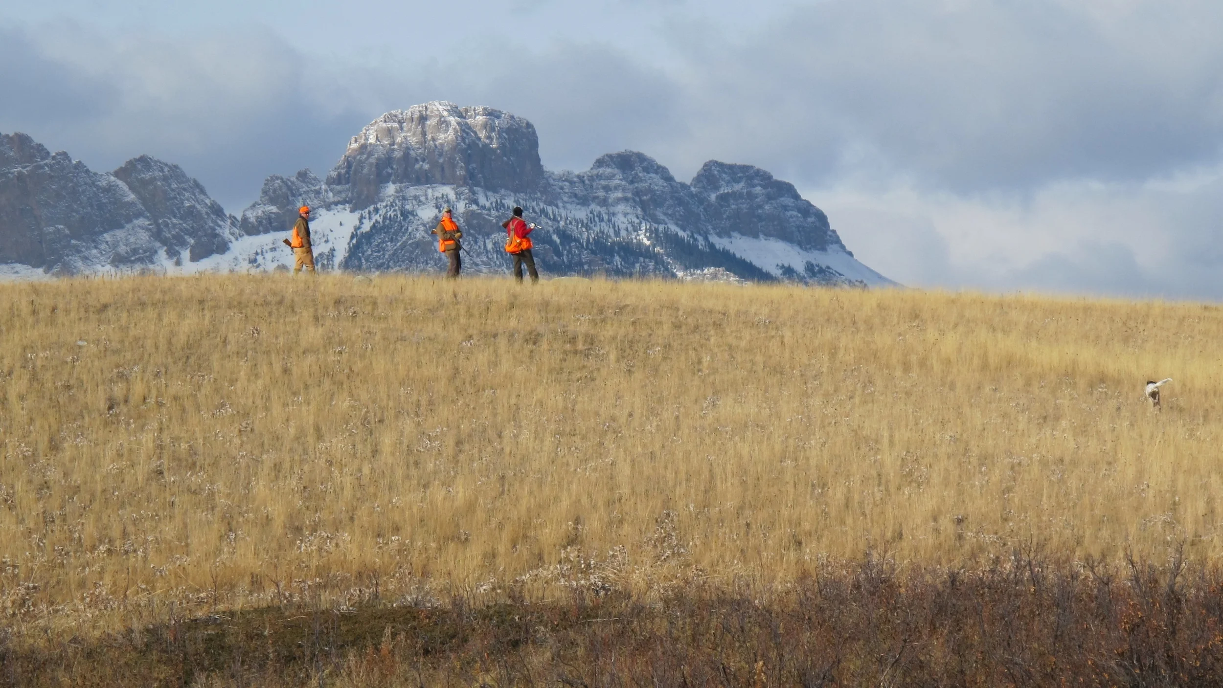 IMG_0141.JPG - Version 3.JPG