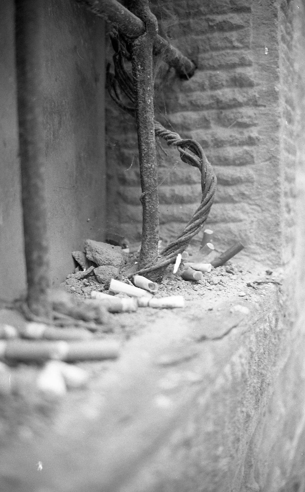smoke. 35mm.