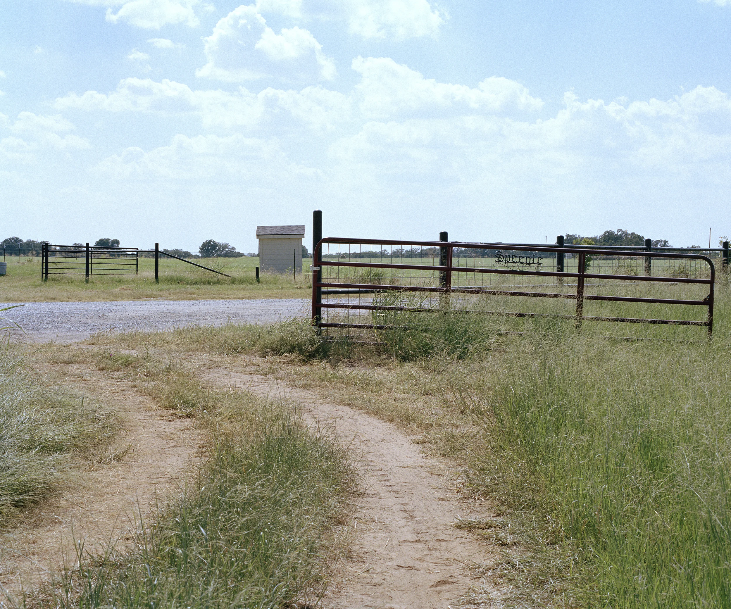 fence 001.jpg