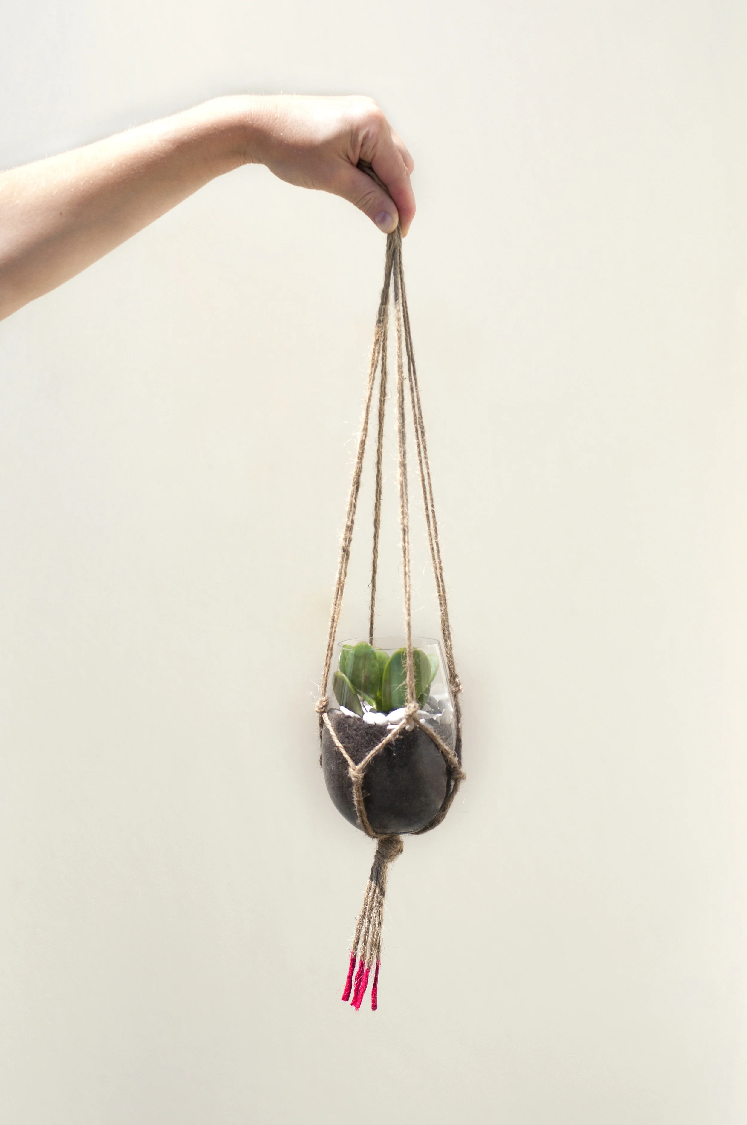 Hanging Macrame Succulent.jpg
