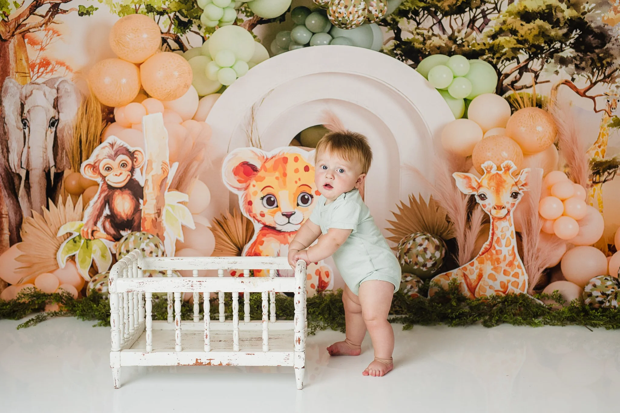 Albuquerque cake smash photographer