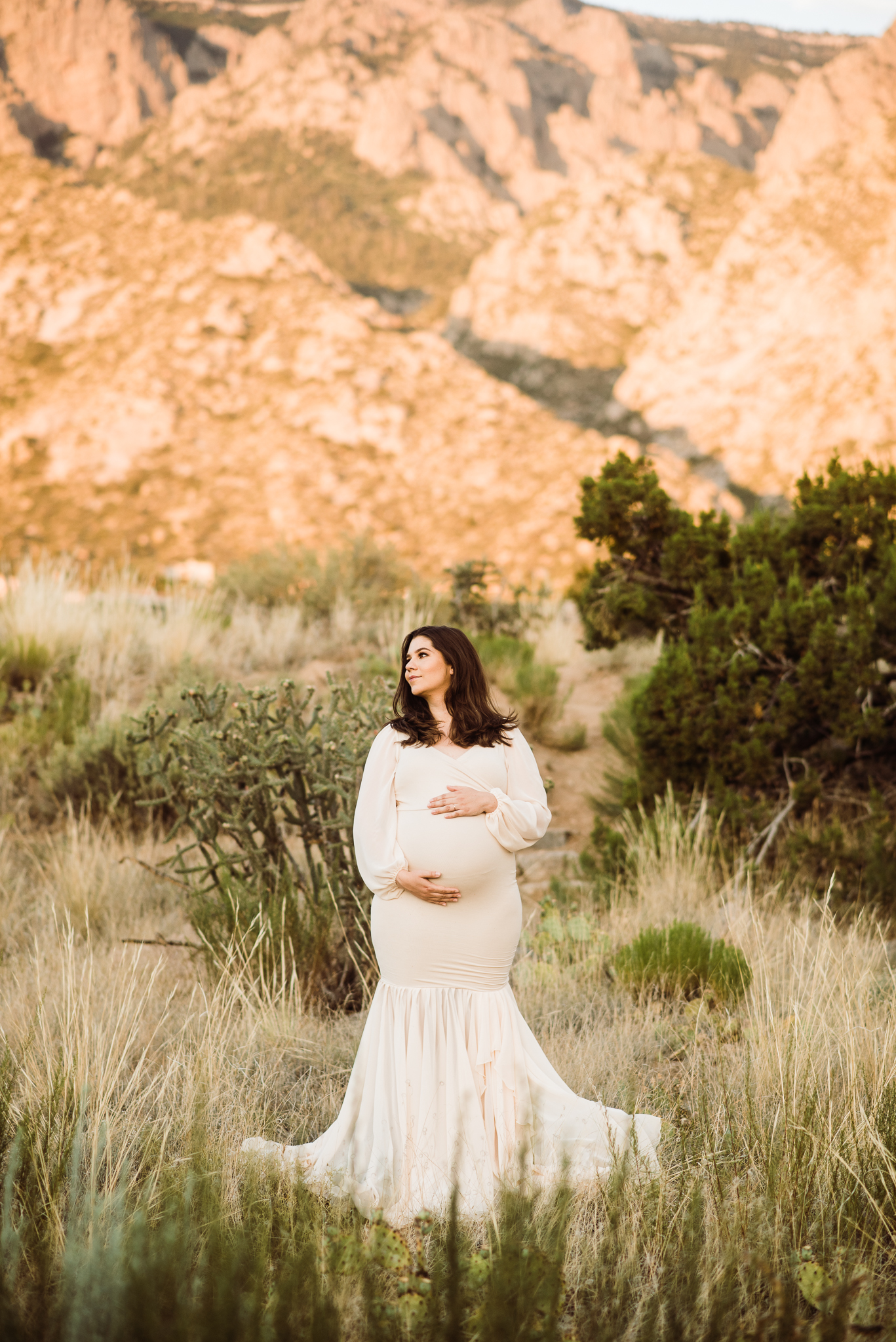 Albuquerque Maternity Photographer-27.jpg