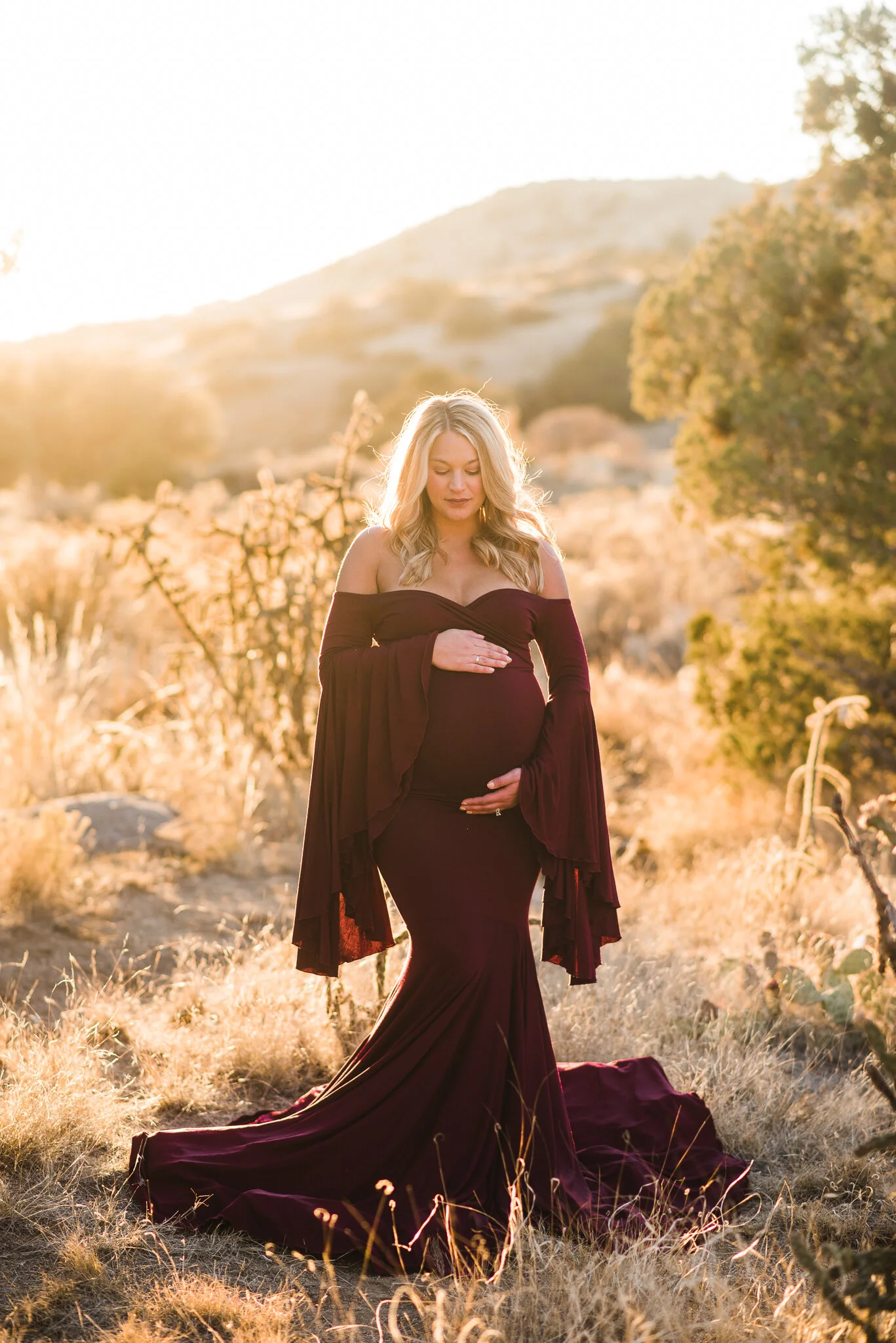 Albuquerque Maternity Photographer Santa Fe Maternity Photographer