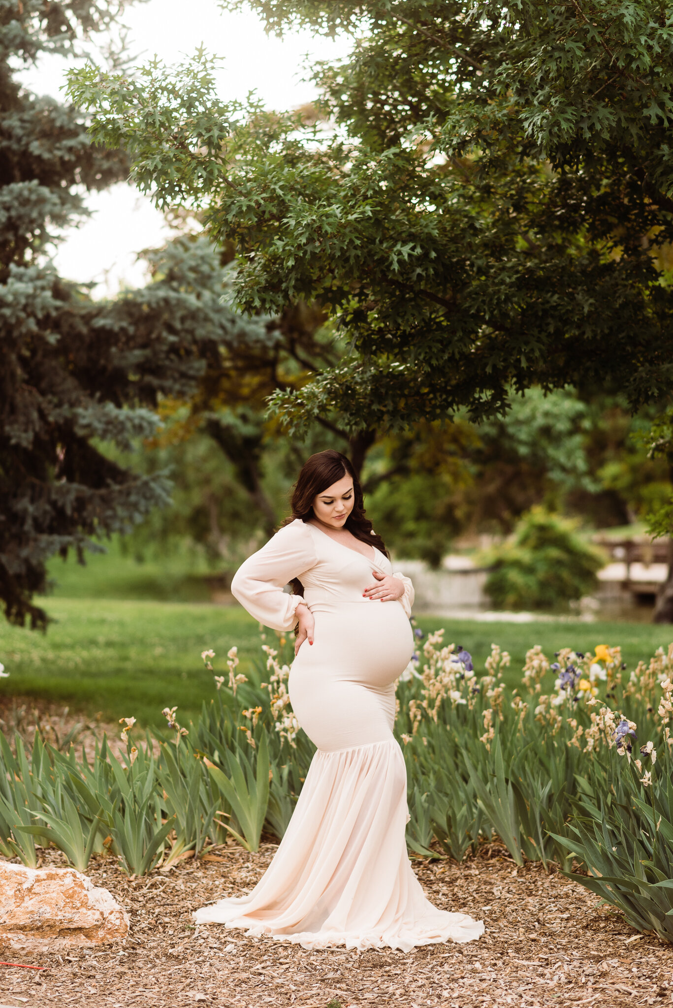 Albuquerque maternity photographer 4.jpg