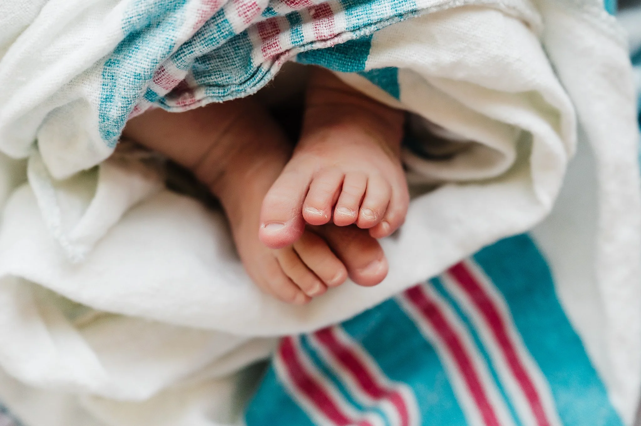 Albuquerque newborn photographer