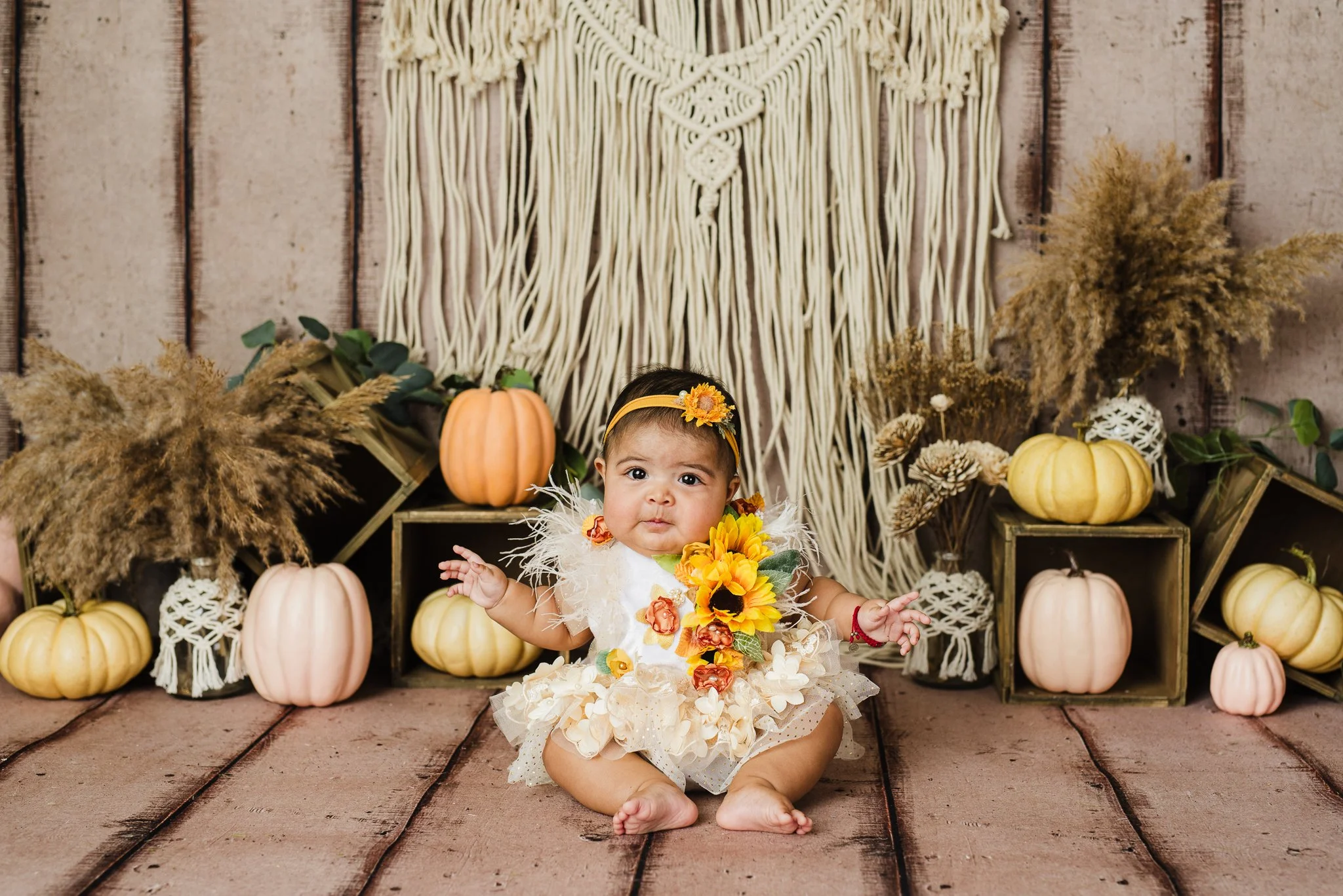 Albuquerque cake smash photographer