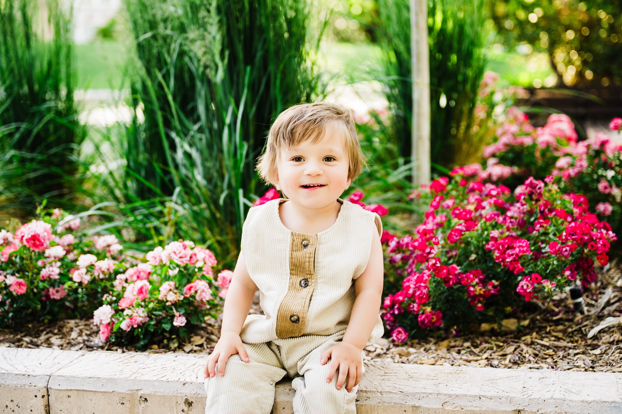 Albuquerque family photographer