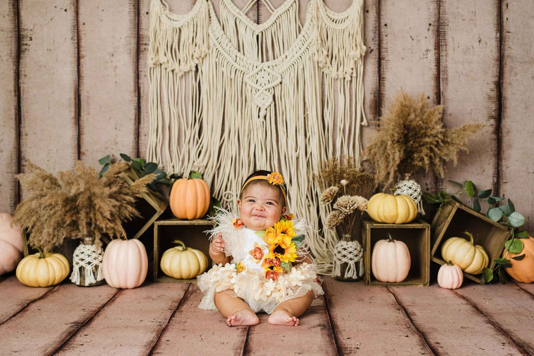 Albuquerque cake smash photographer