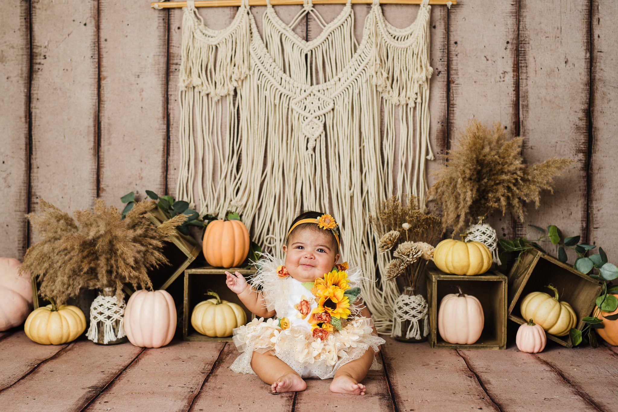 Albuquerque cake smash photographer