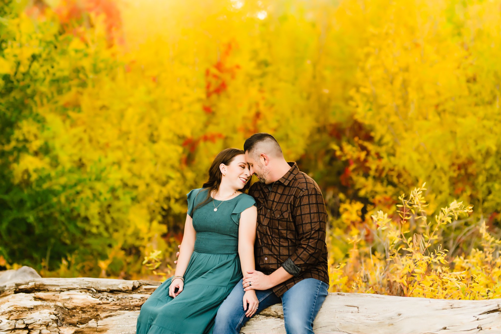 Albuquerque family photographer