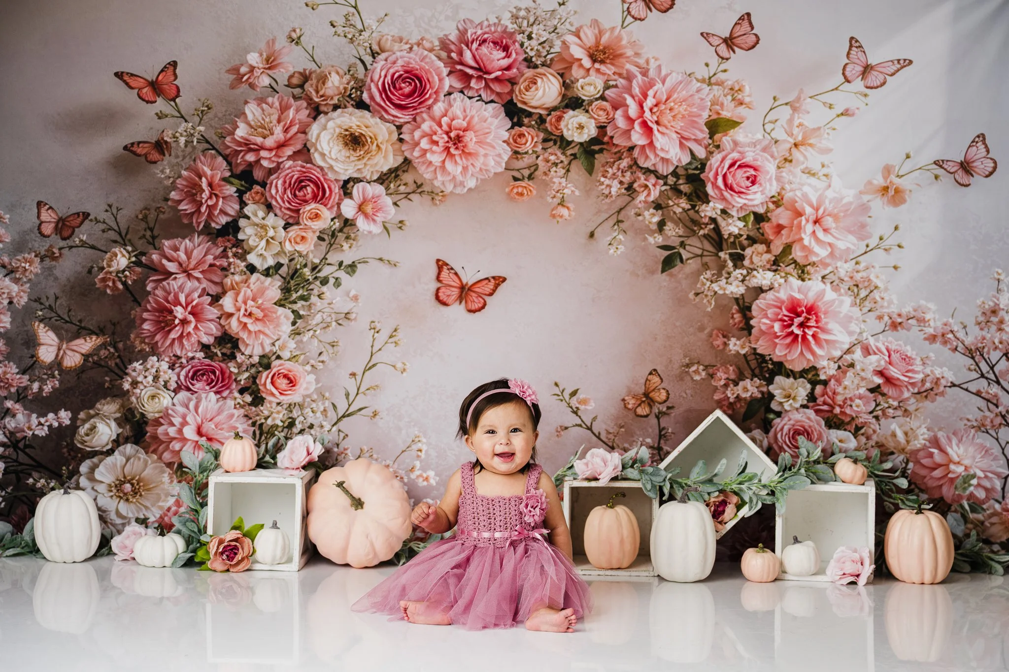Albuquerque cake smash photographer