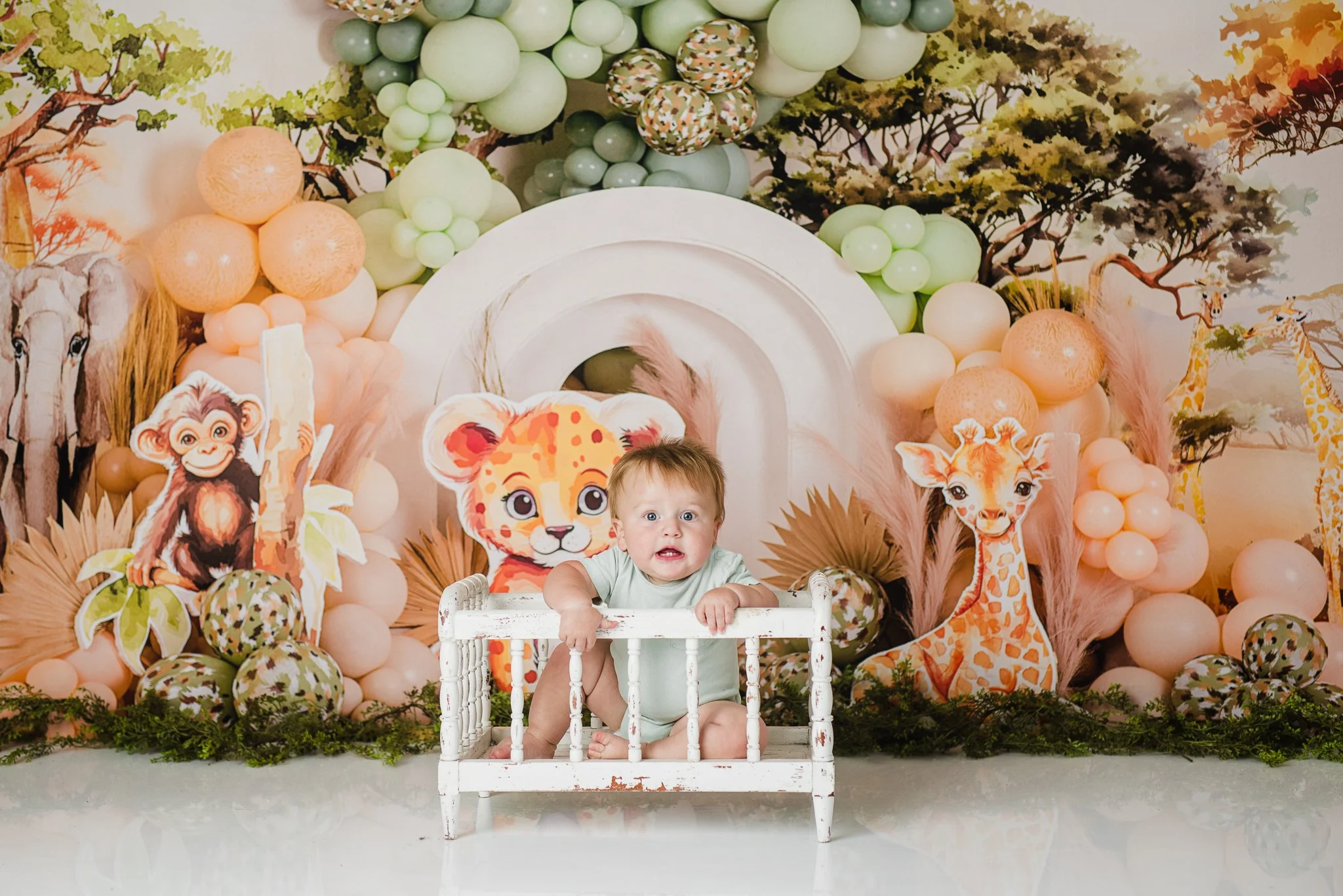 Albuquerque cake smash photographer