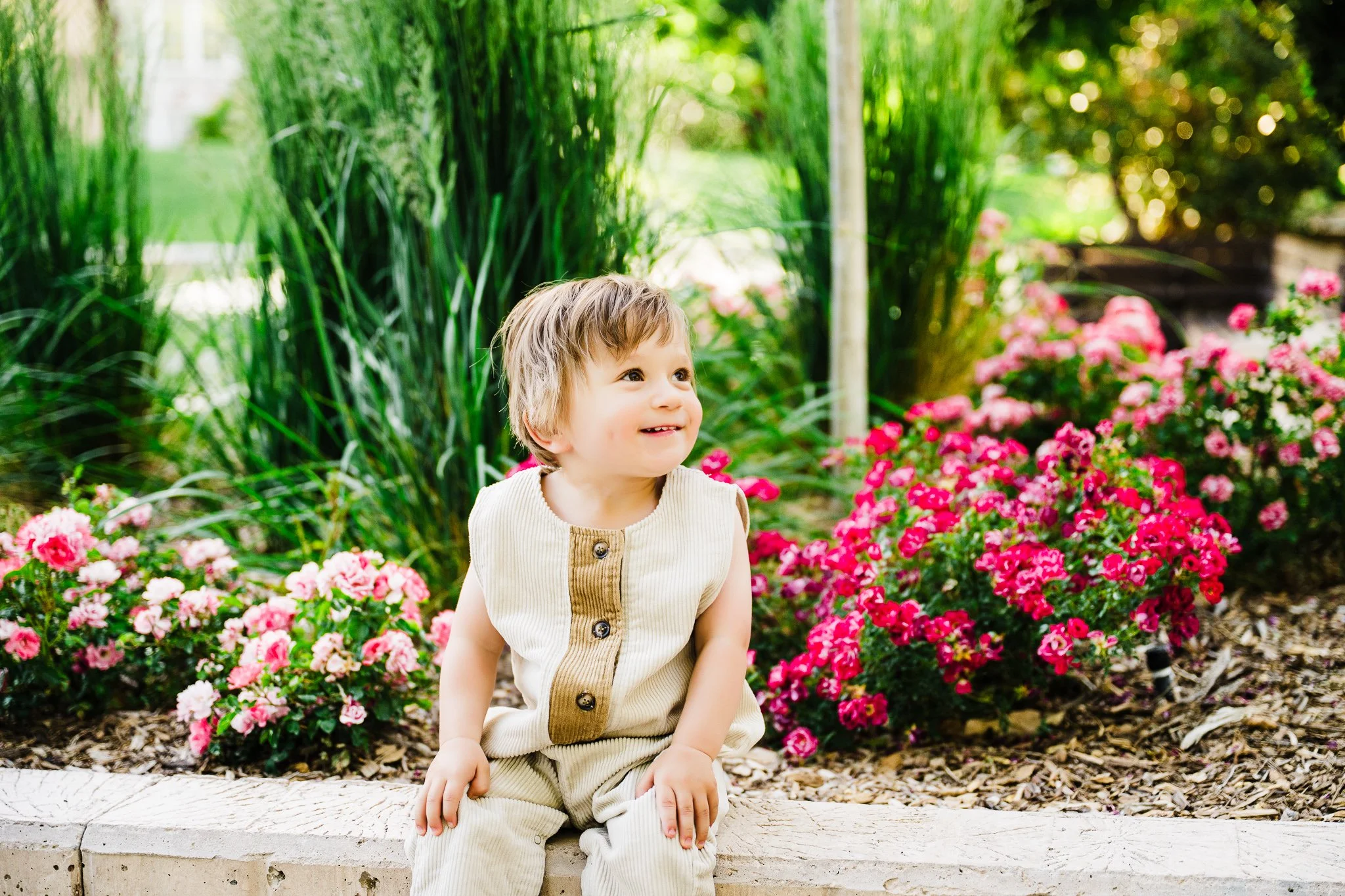 Albuquerque family photographer