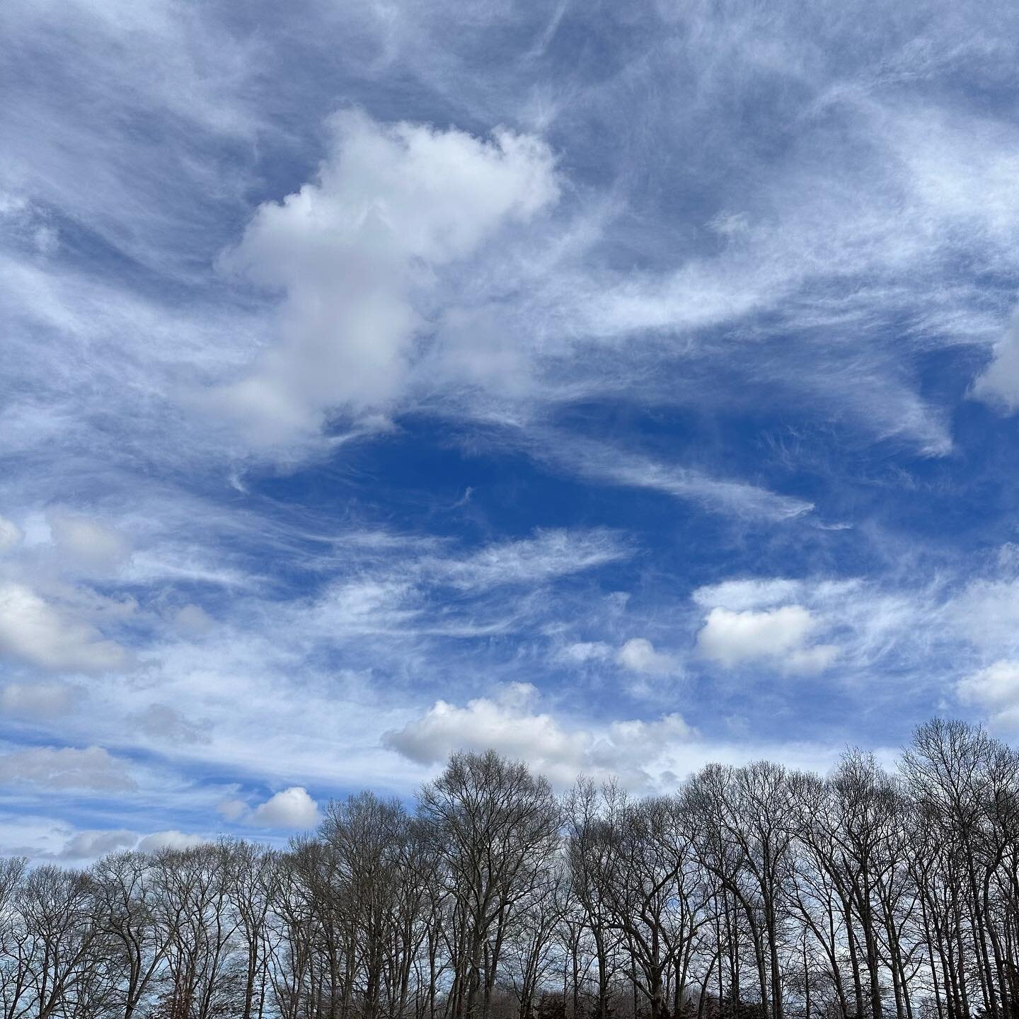 Heavenly Blues 💙
〰️
#blueskies #shakeoffthewinter #springinnewengland #blusteryday #naturespallette