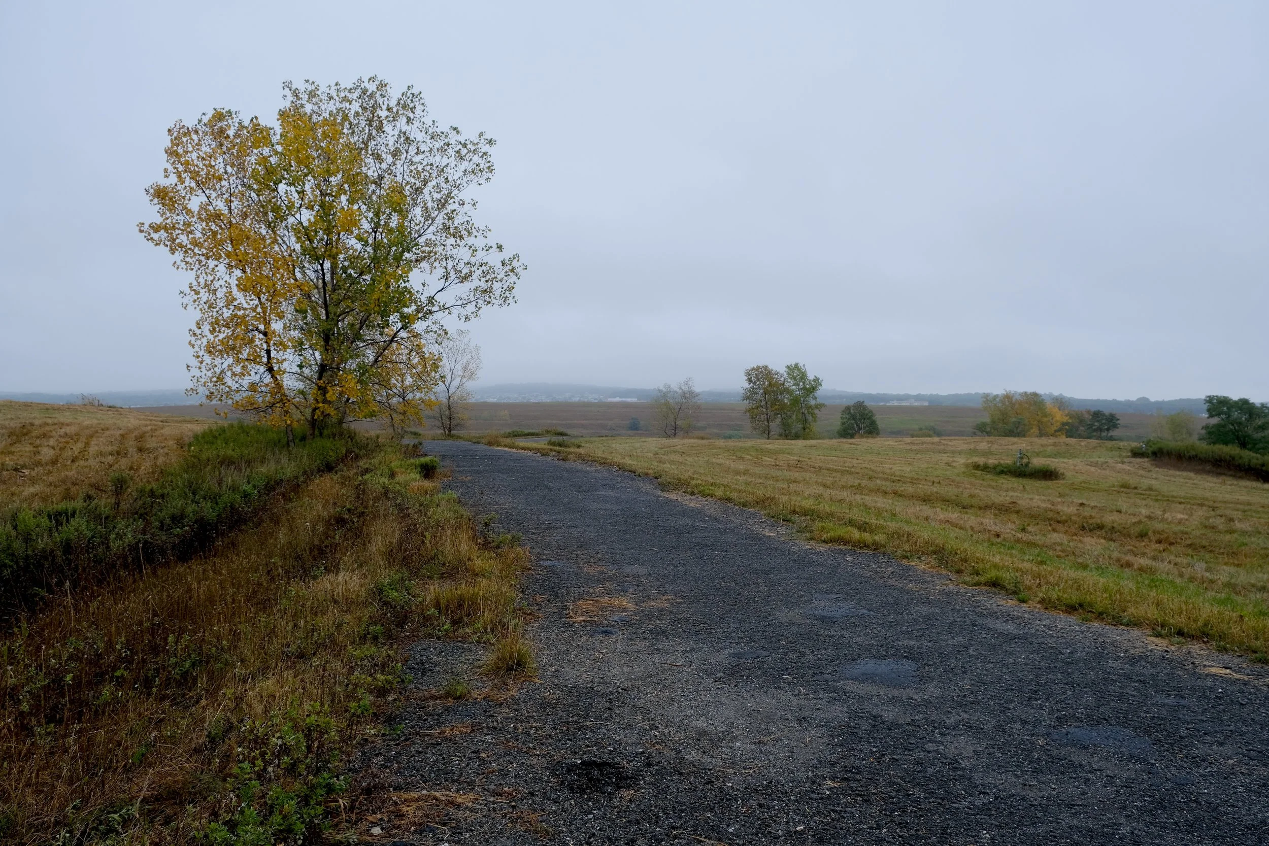 From environmental disaster to public park: Exploring Freshkills
