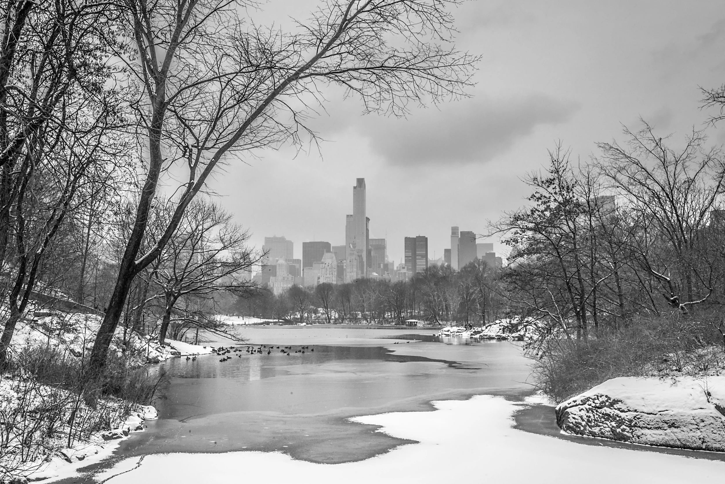 RMA-NYC-JAN15122.jpg