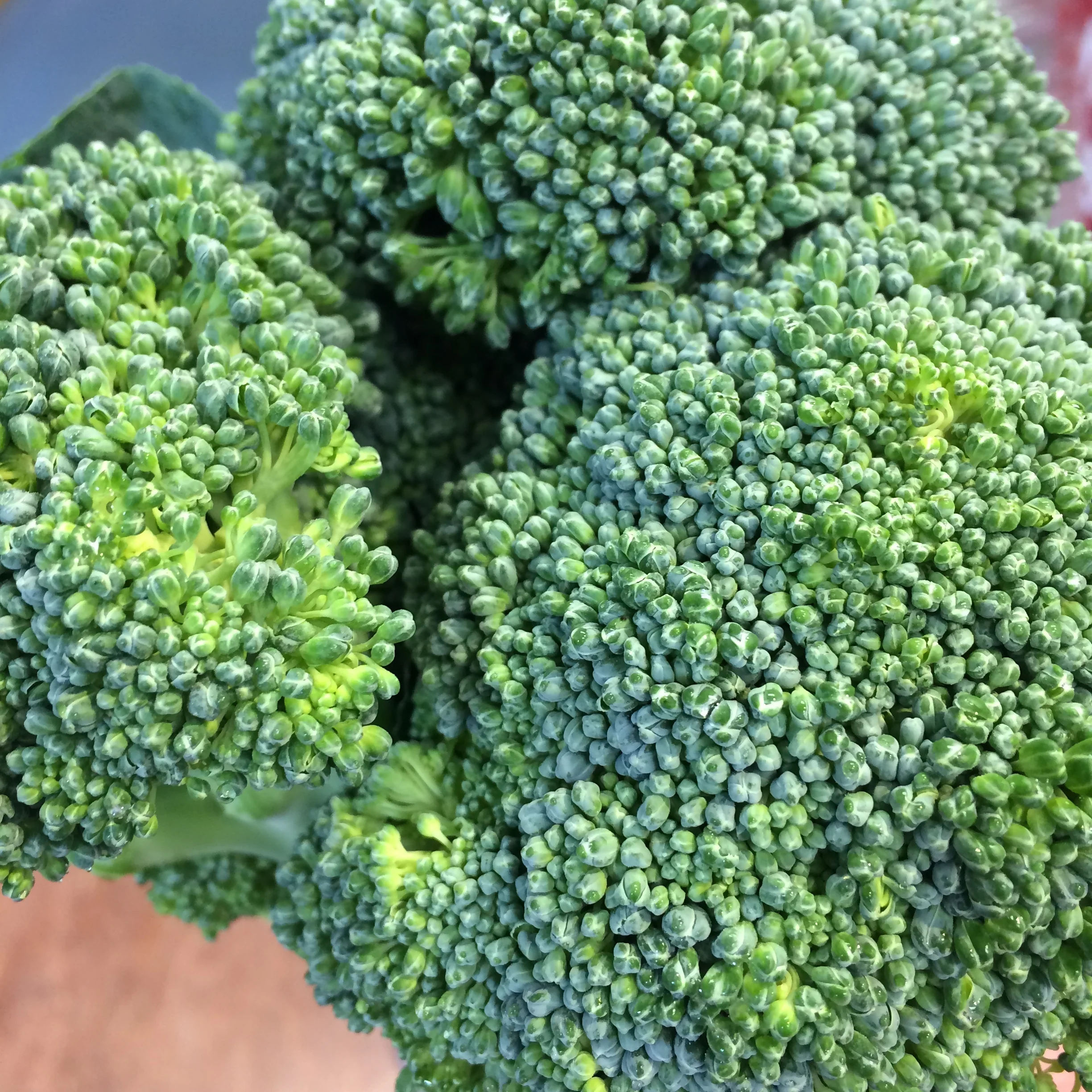 Brocoli