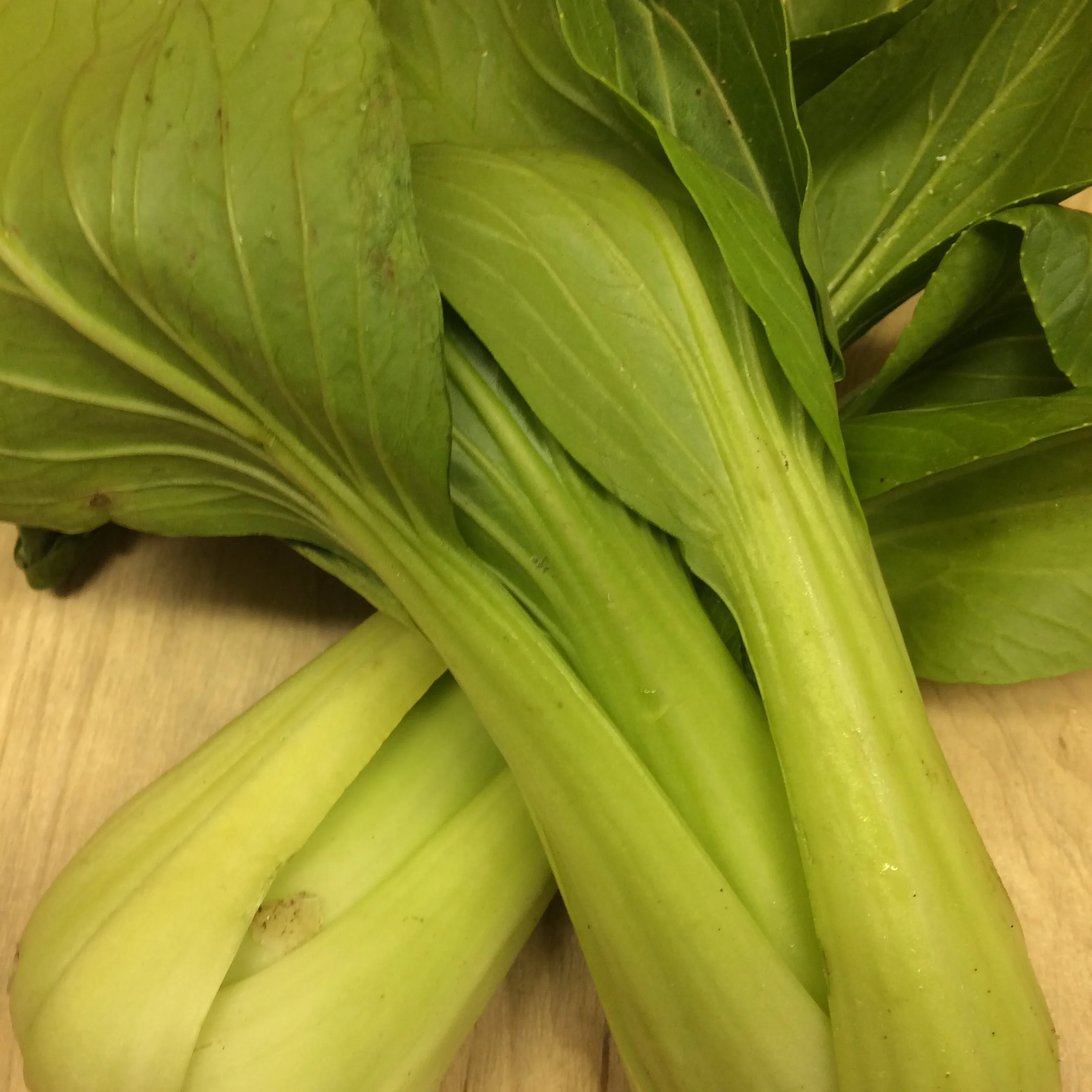 Bok Choi Quebec
