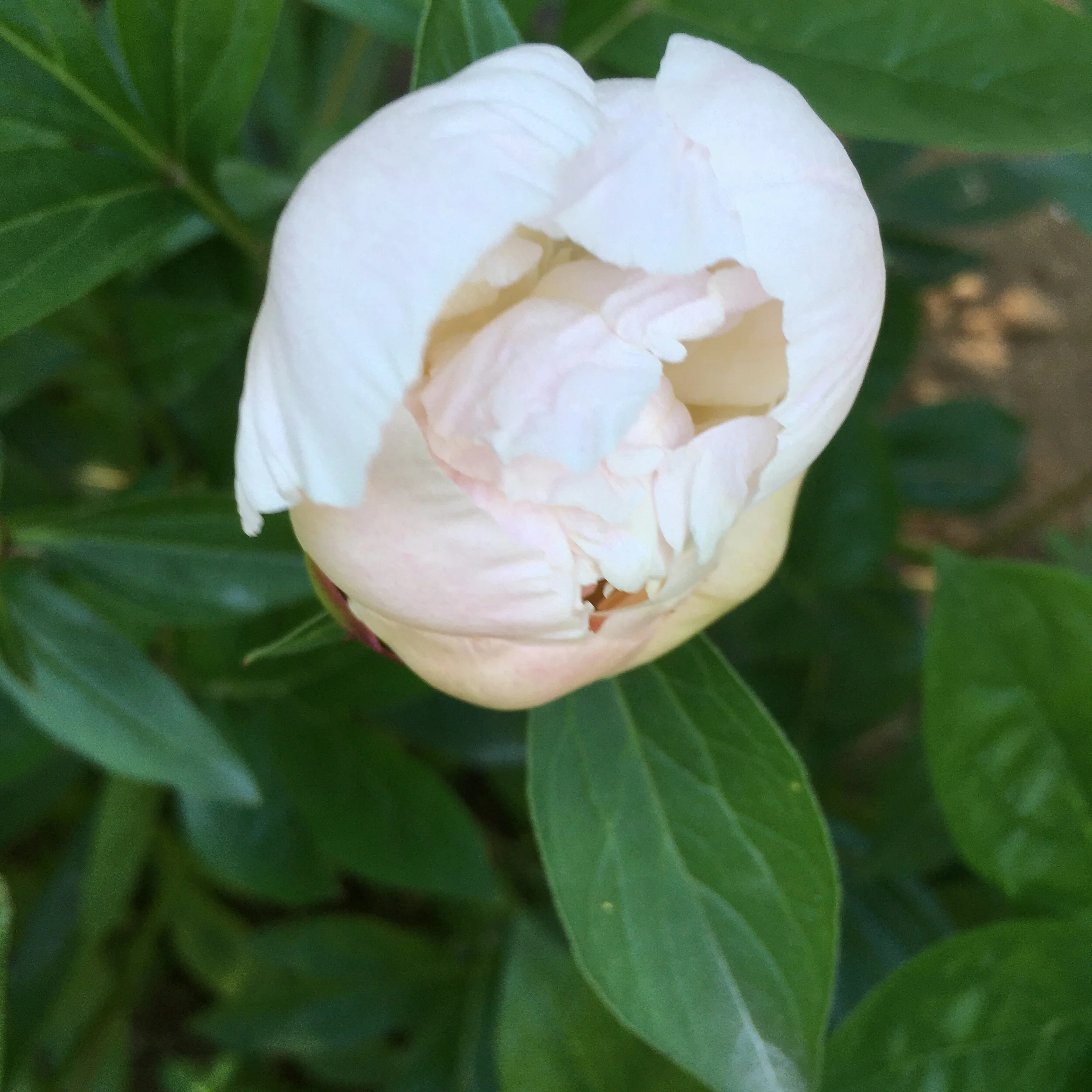 Votre trousse essentielle d’été: amusez-vous tout en étant bien préparés! 