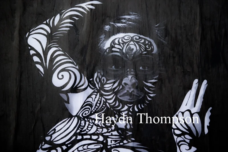 The Painted Woman.jpg