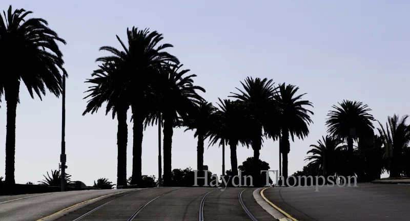 St Kilda Palms - Esplanade.jpg