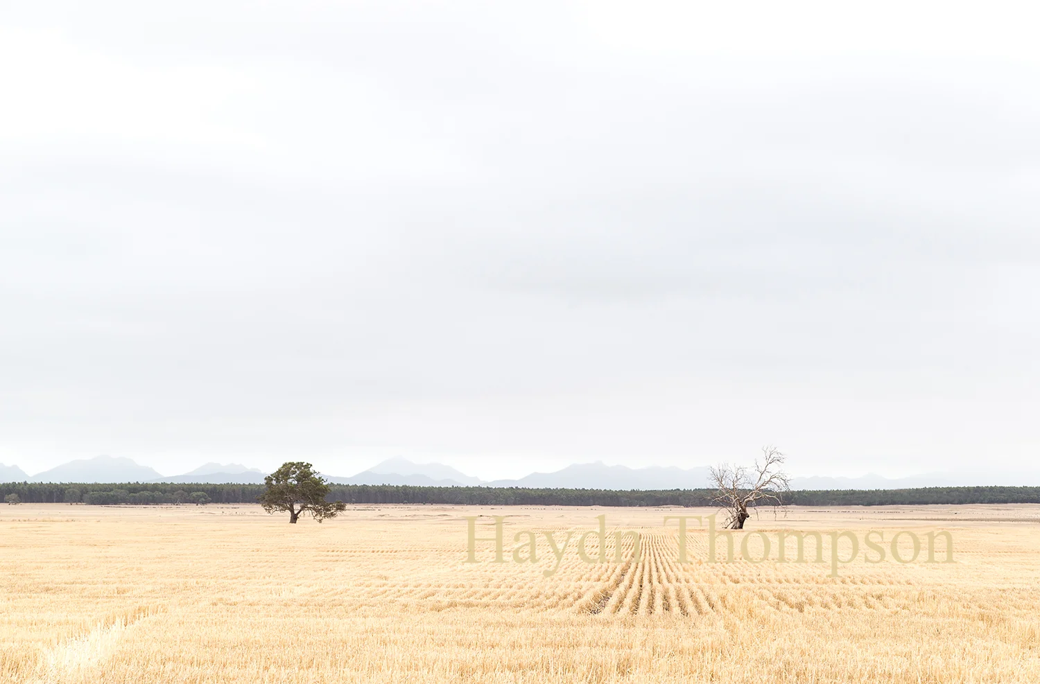 Life And Death In The Fields