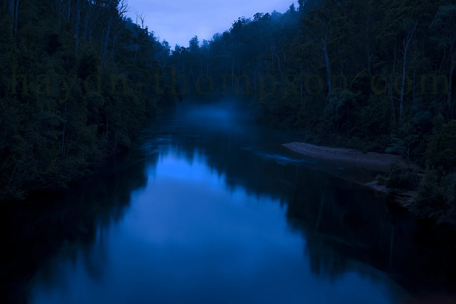 Mystic Forest