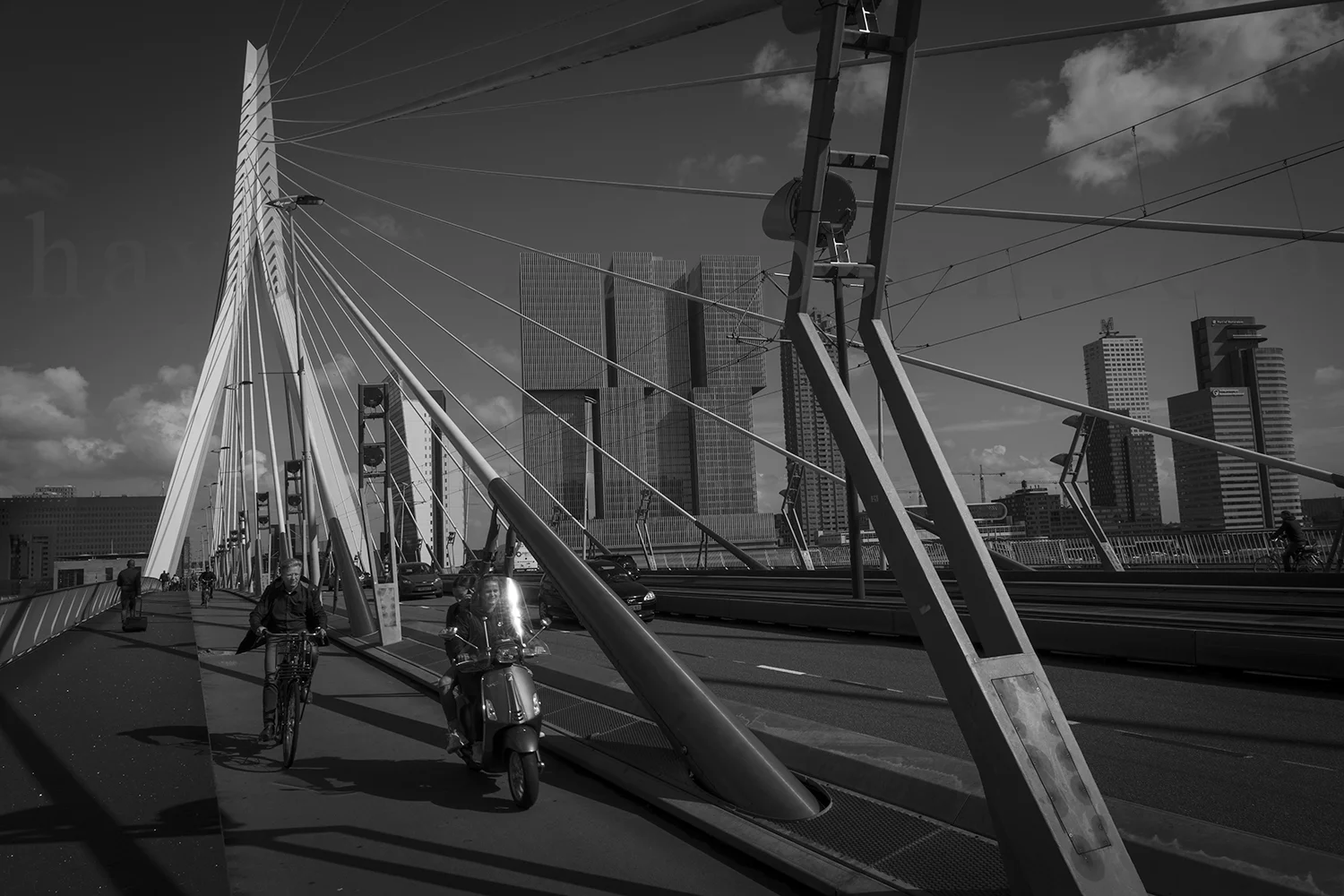 Rotterdam Life