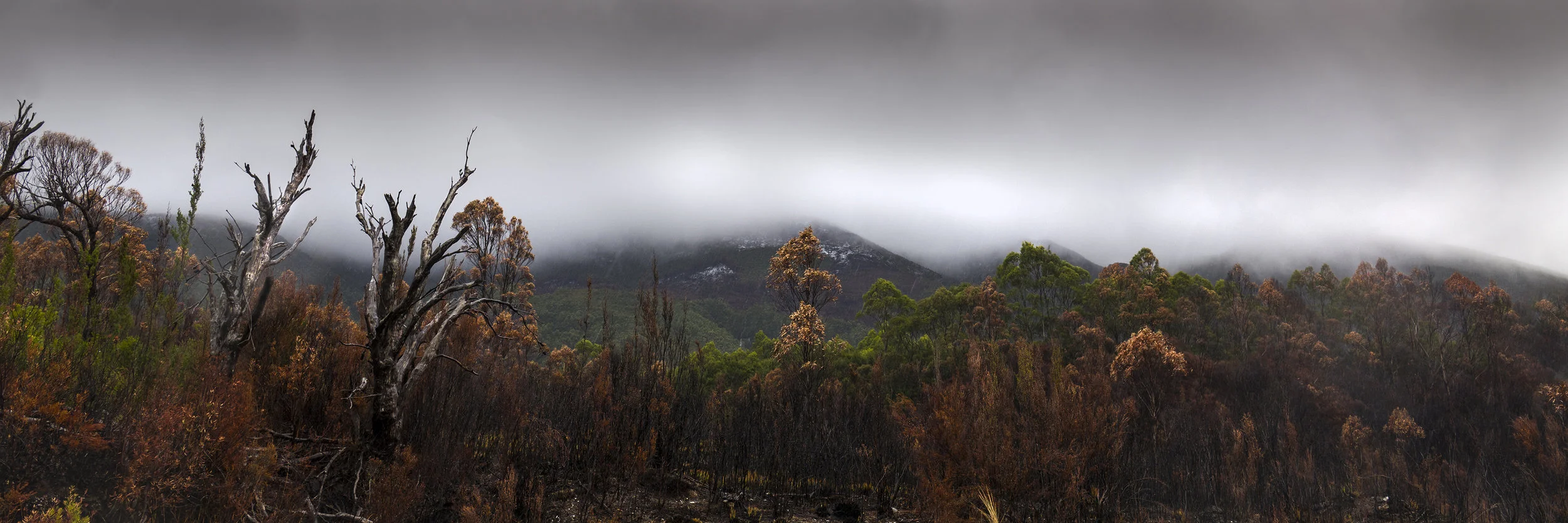 Fire Mist