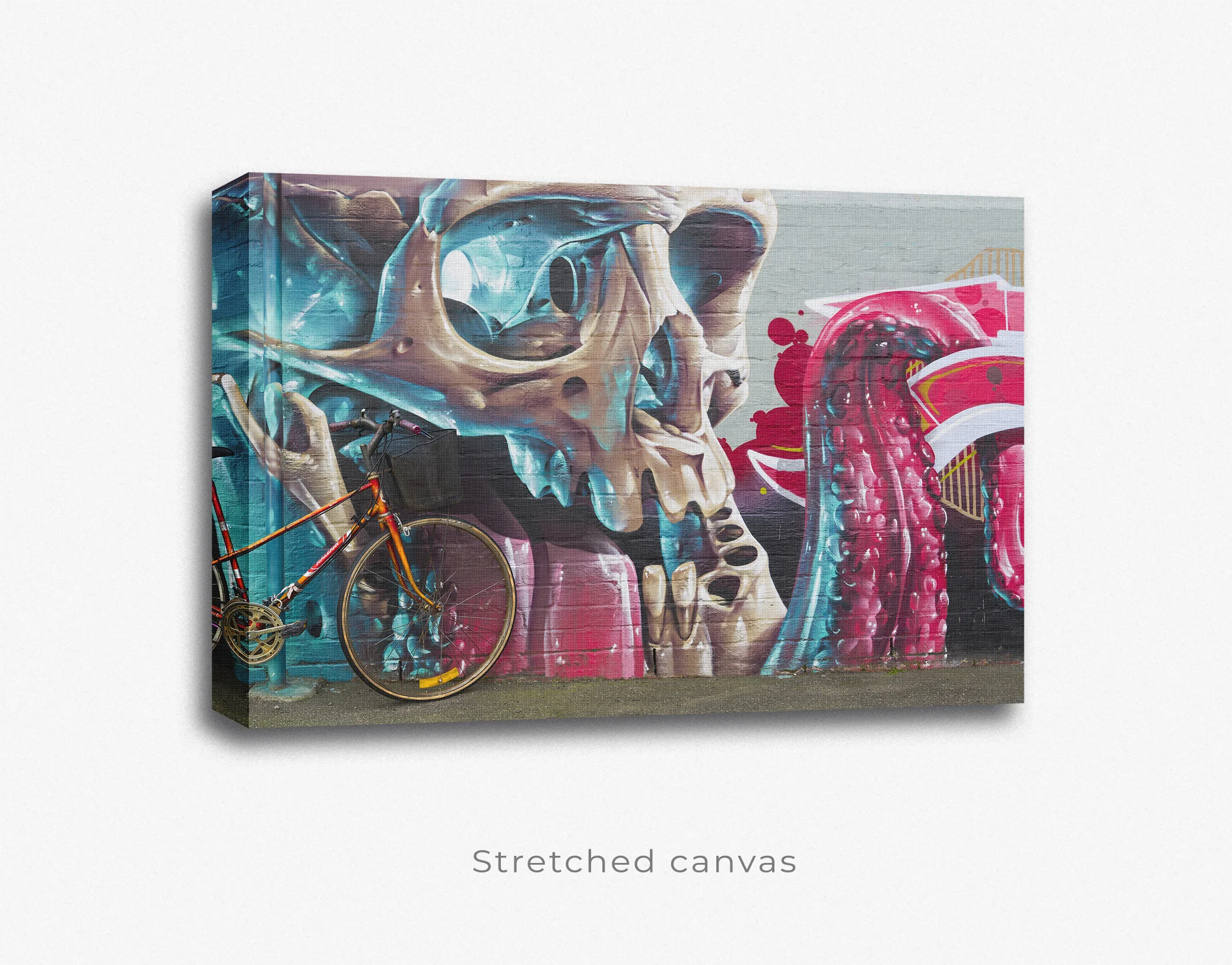 Skull and Octopus street art