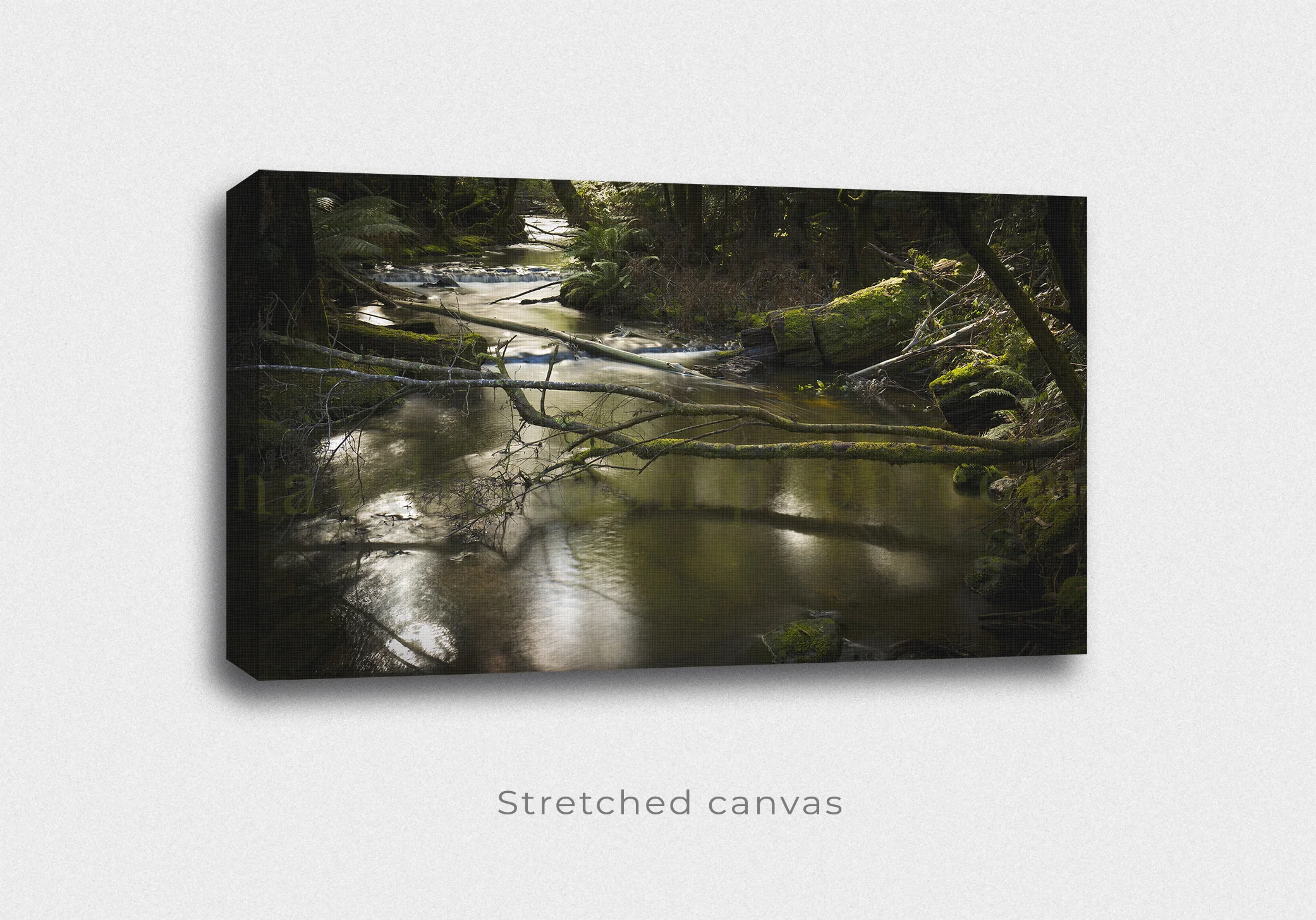The Quiet Stream - Perspective canvas & shadow.jpg